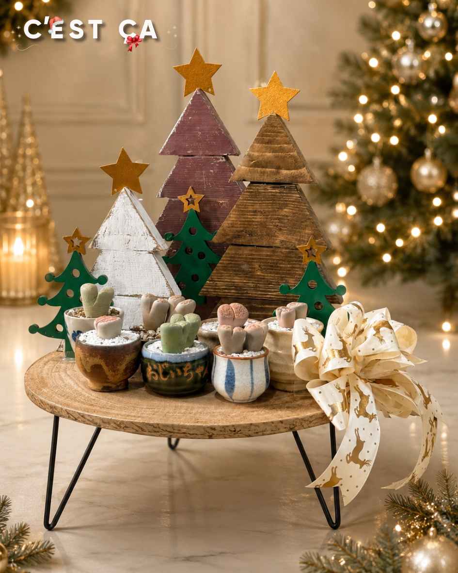 Nordic Noel 