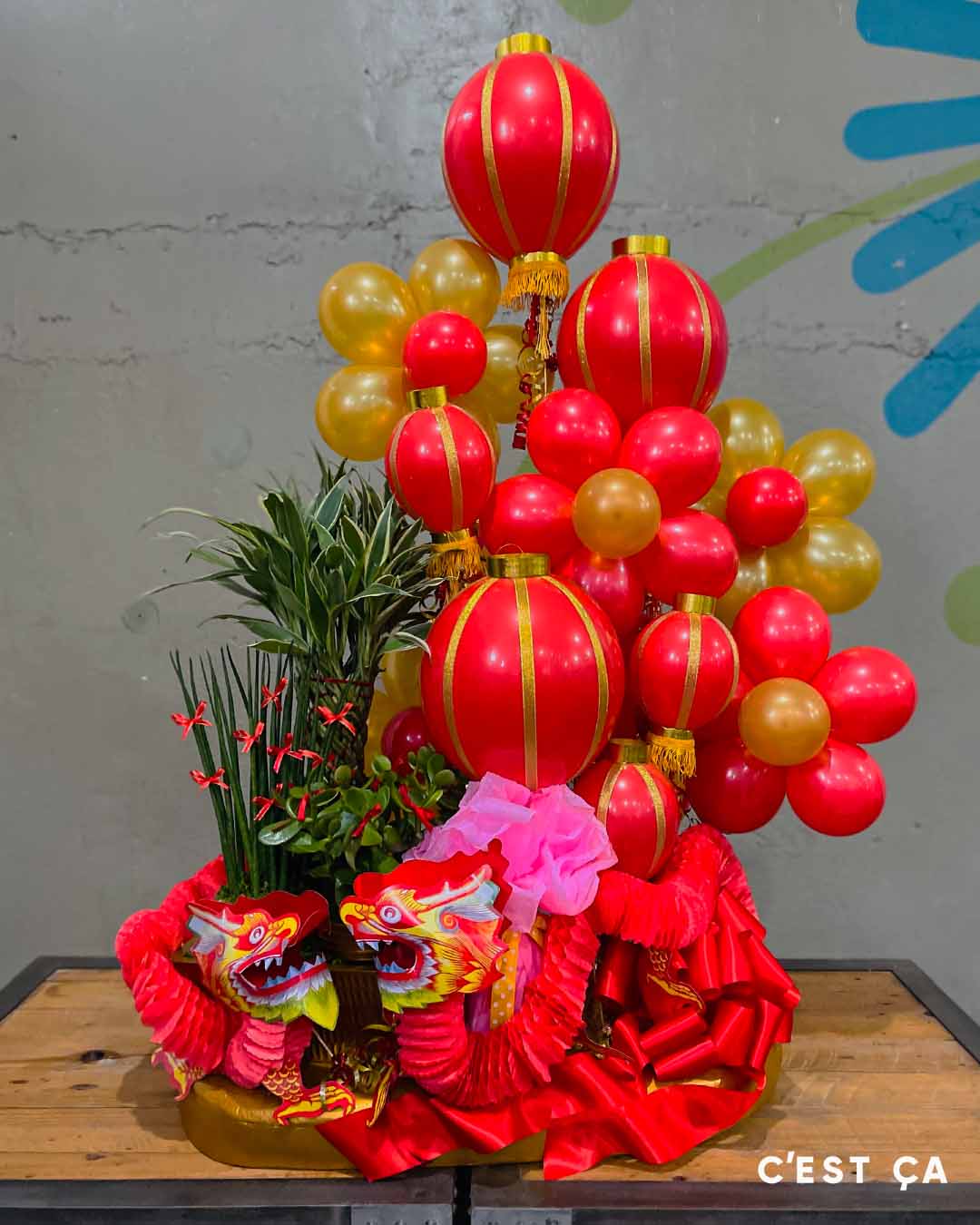 Chinese Dragon / Lanterns + Lucky Plants